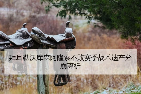 拜耳勒沃库森阿隆索不败赛季战术遗产分崩离析