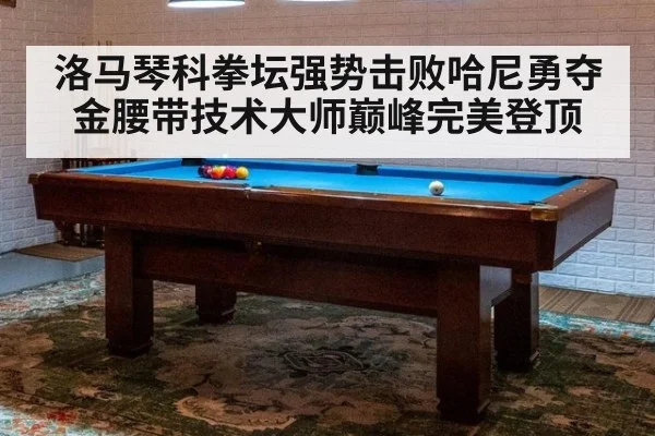 洛马琴科拳坛强势击败哈尼勇夺金腰带技术大师巅峰完美登顶