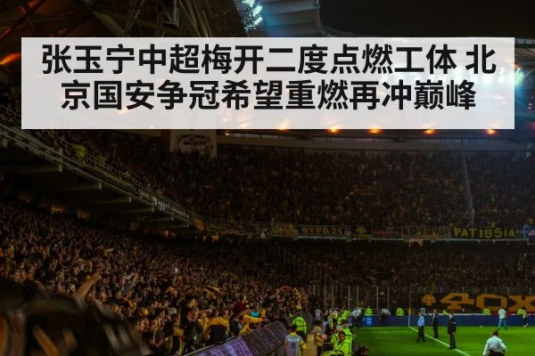 football stadium night crowd